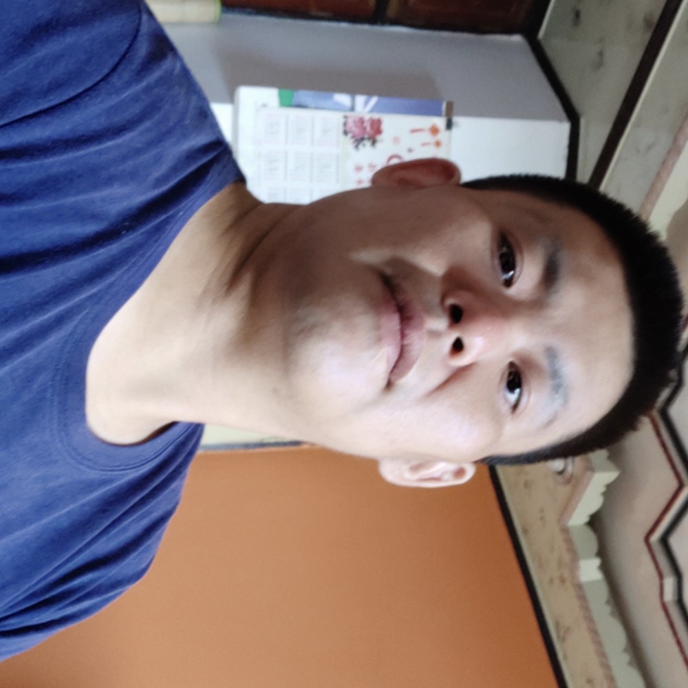 勤恳给狗的照片