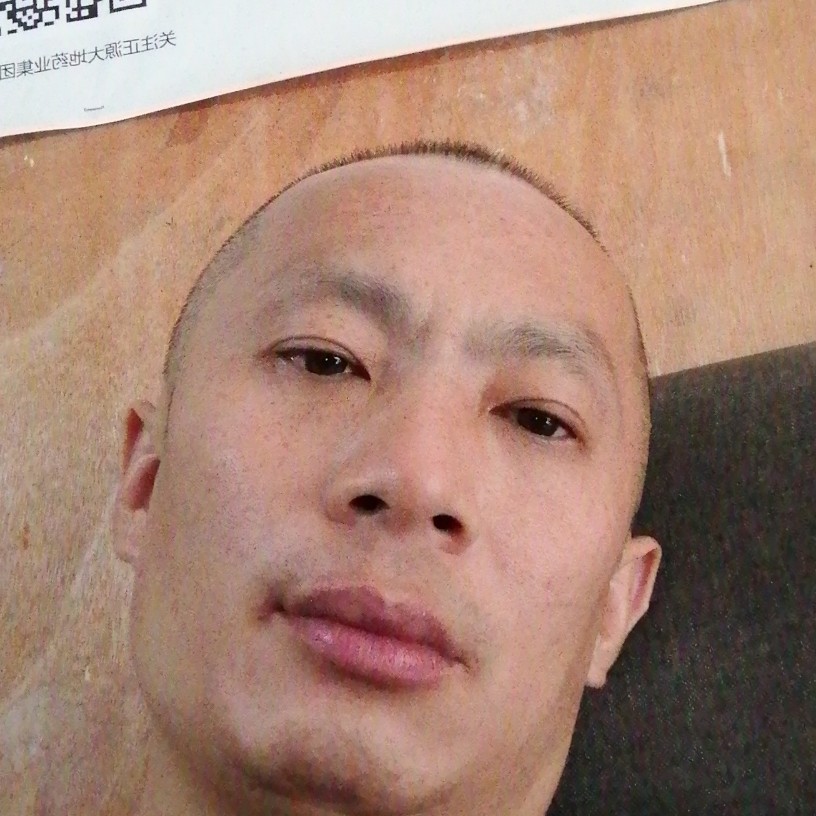 白猫还无心的照片