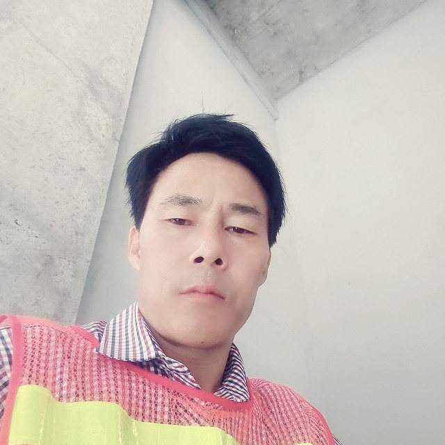 画笔健康的照片