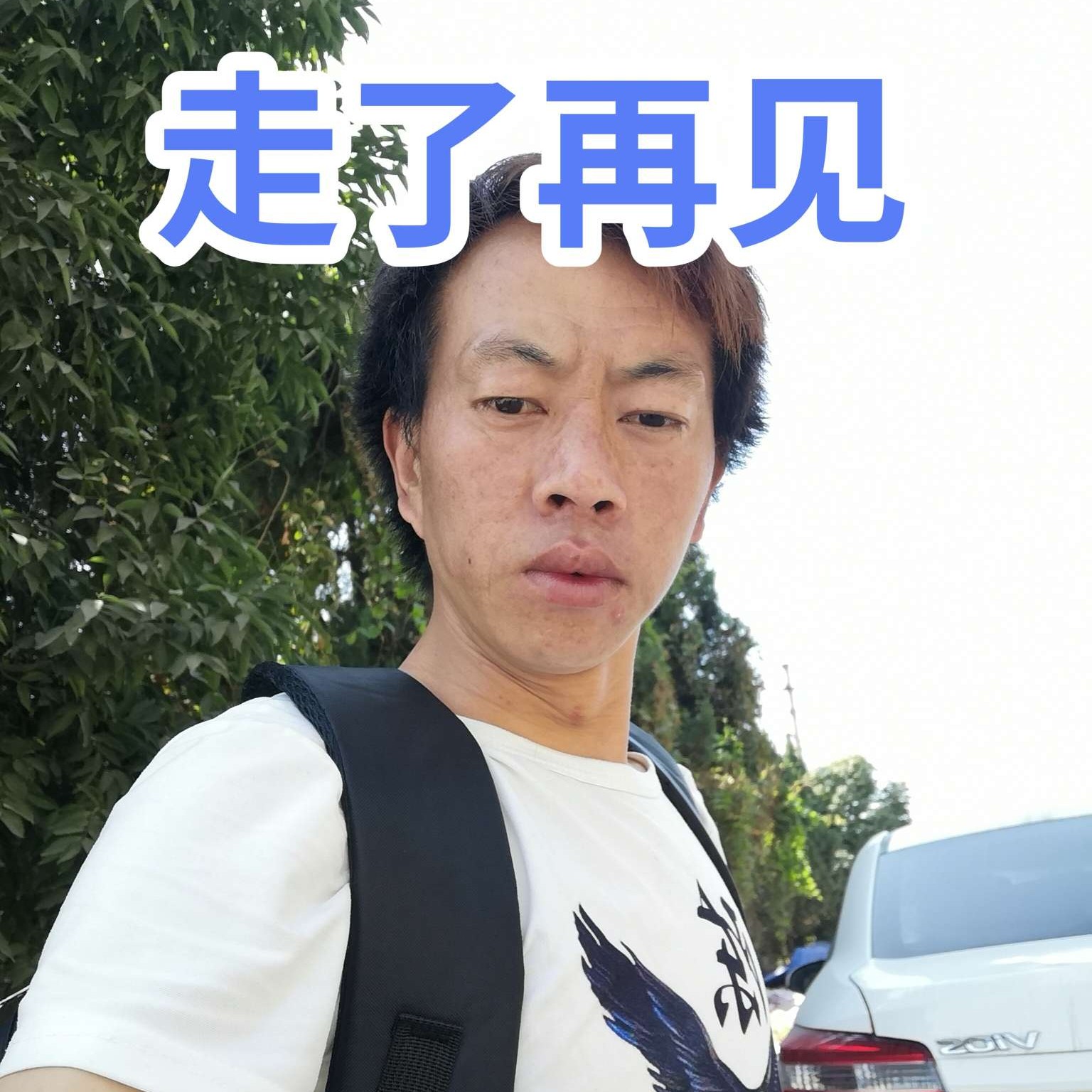 钱无木的照片