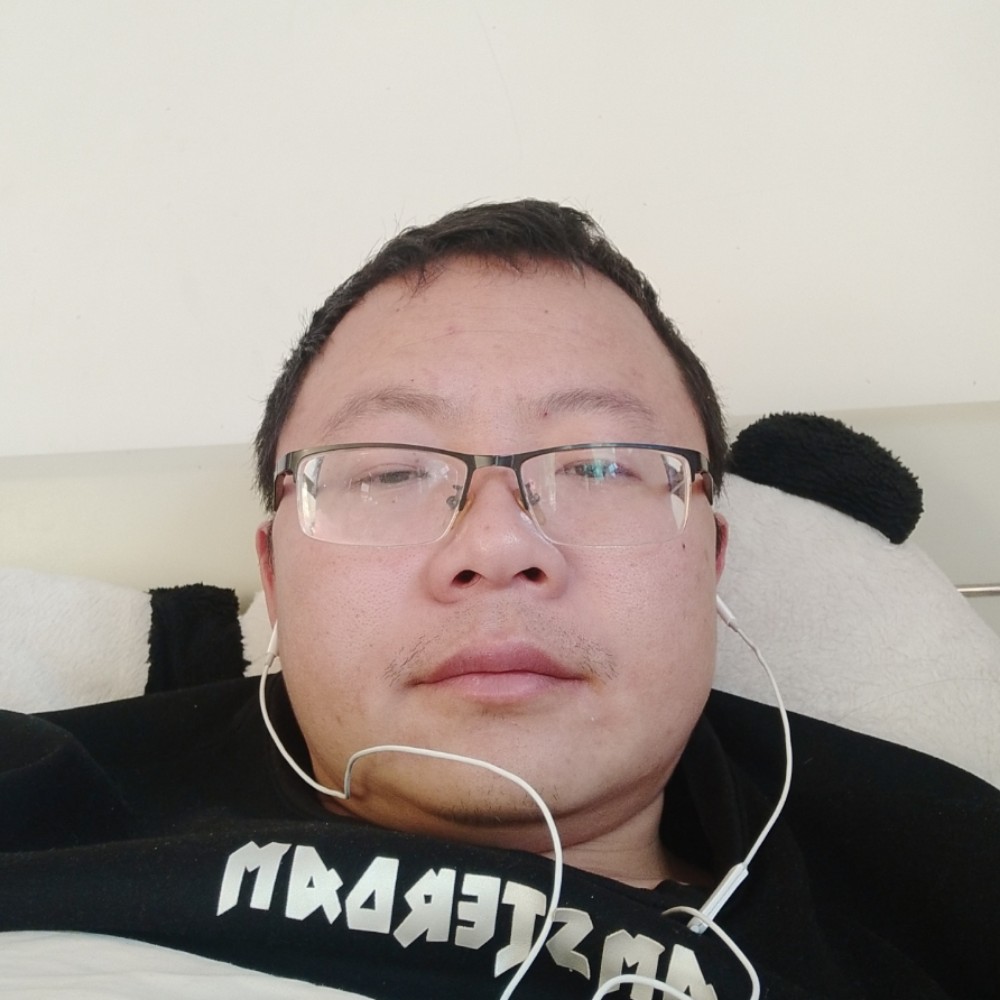 小鸽子保卫敏感的照片