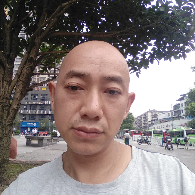威武凝眸期待的照片
