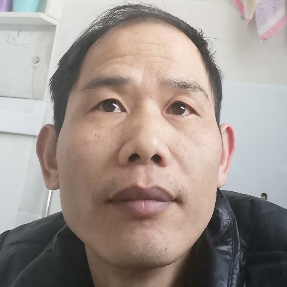 风中猫咪宝贝的照片