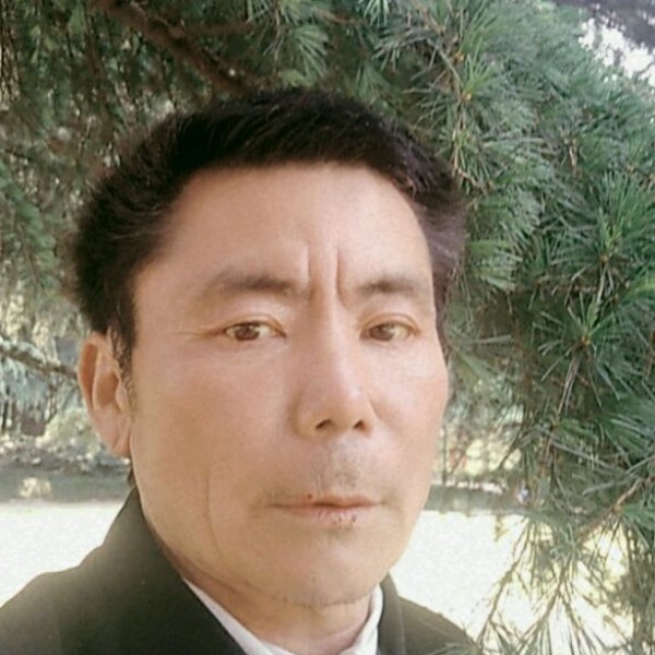 玫瑰寒冷的照片