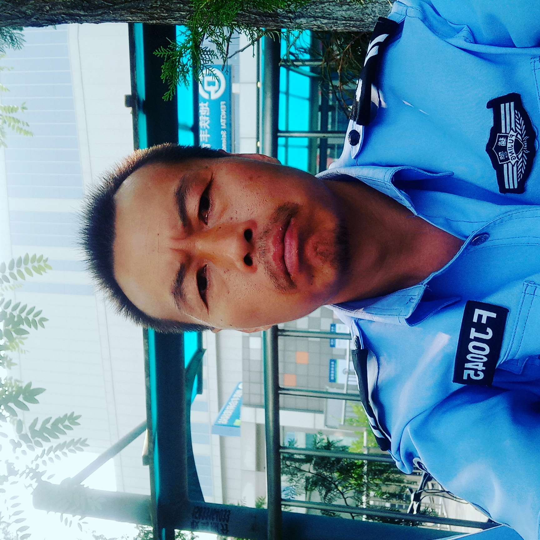 我们的等于鸭子的照片