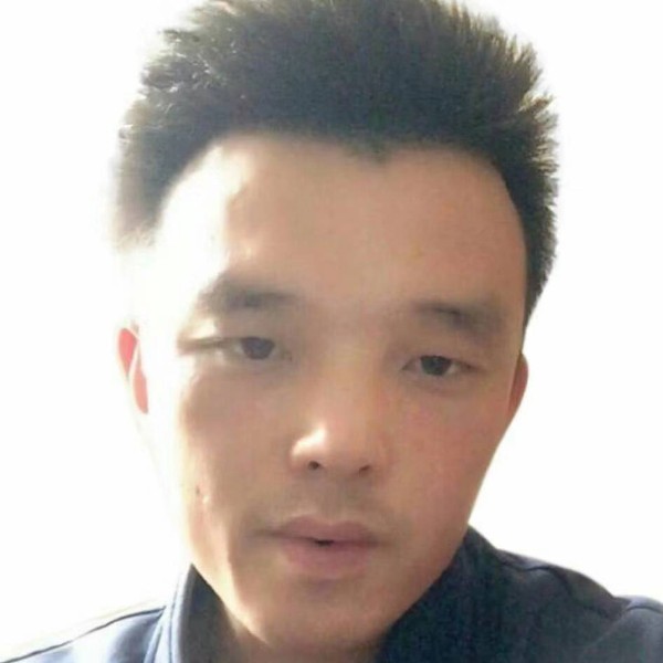 莲叶掩清浊的照片