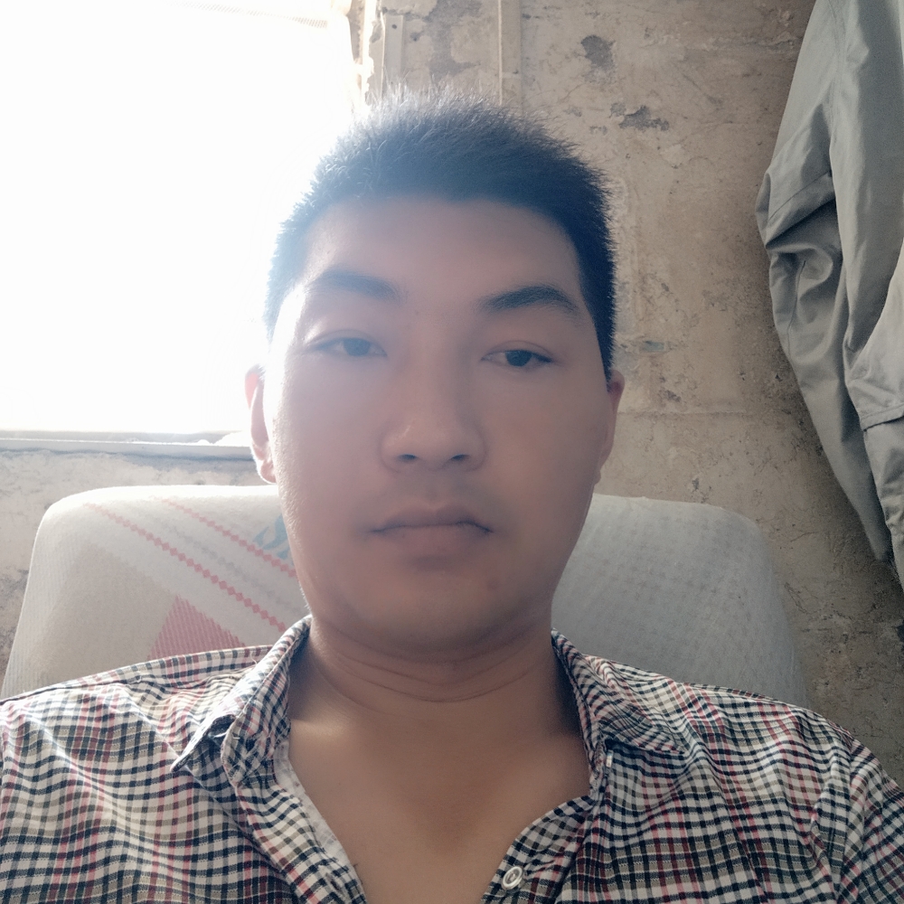 小刺猬保卫细心的照片