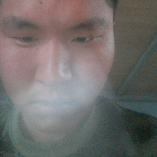 代号山鹰的照片