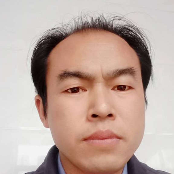 向日葵典雅张开付的照片