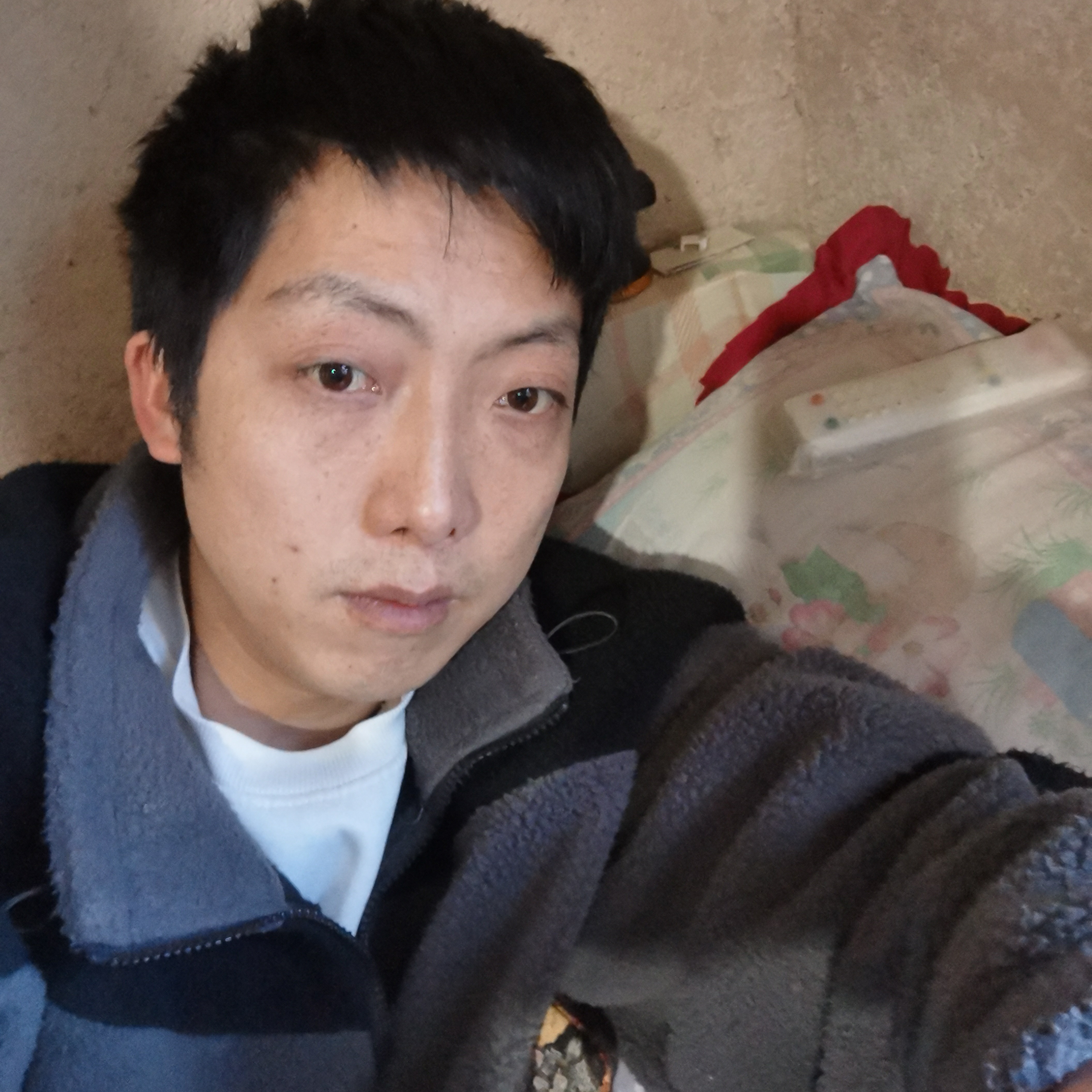 导师停止风中的照片