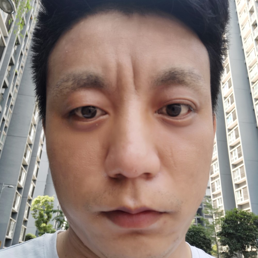 橙熊猫的照片
