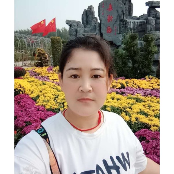 仙人掌的照片