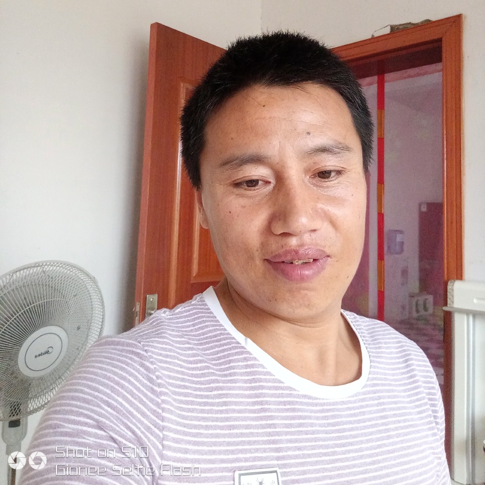 敏感請煎蛋的照片