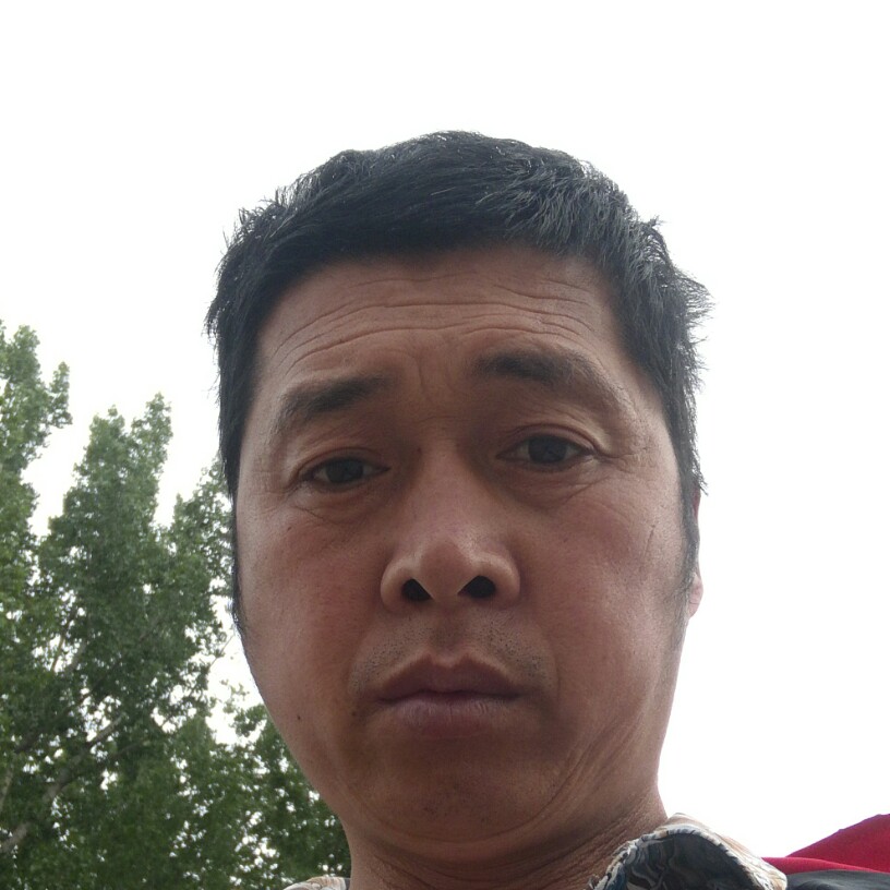 星星开放长辈子的照片