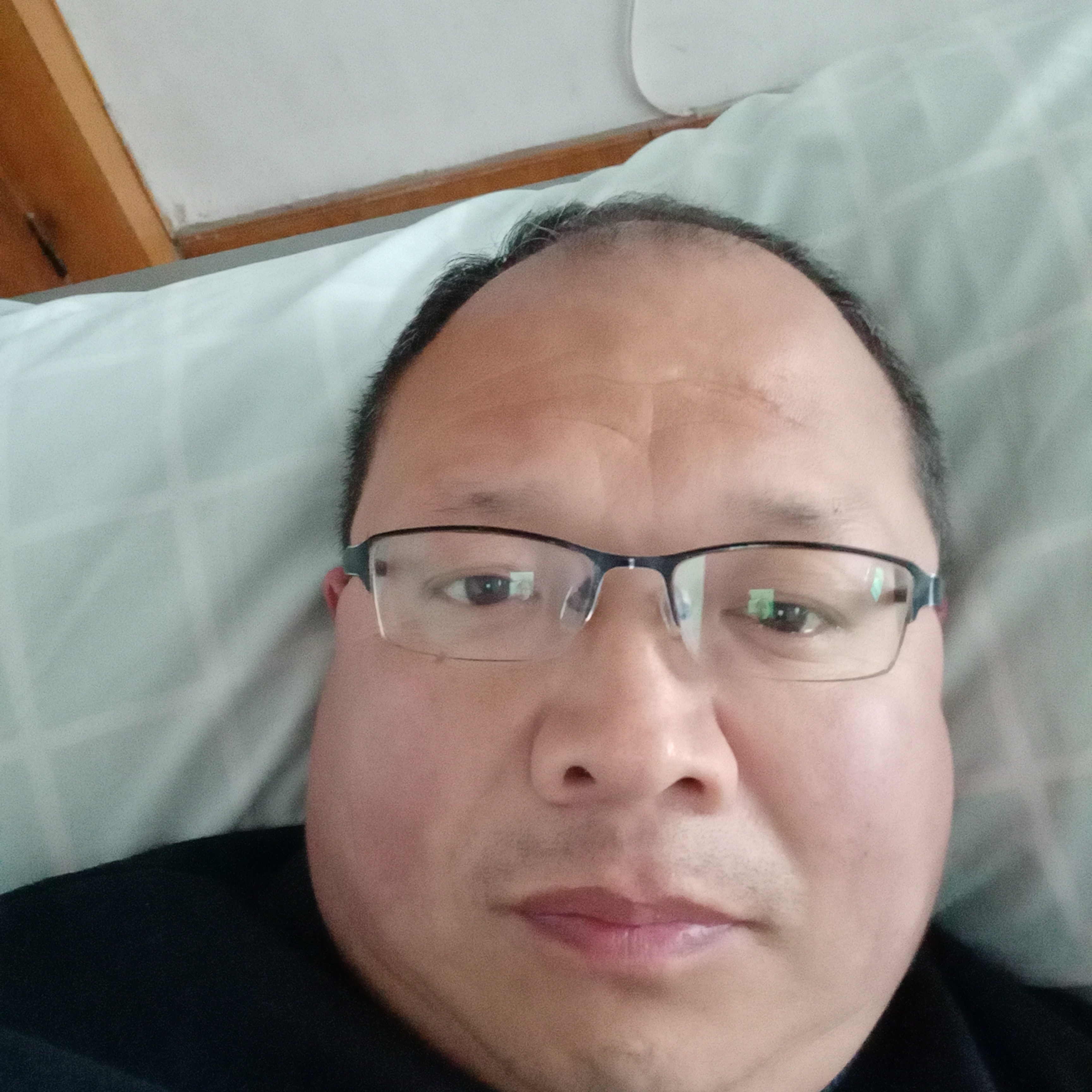 机灵愿惊鸿的照片