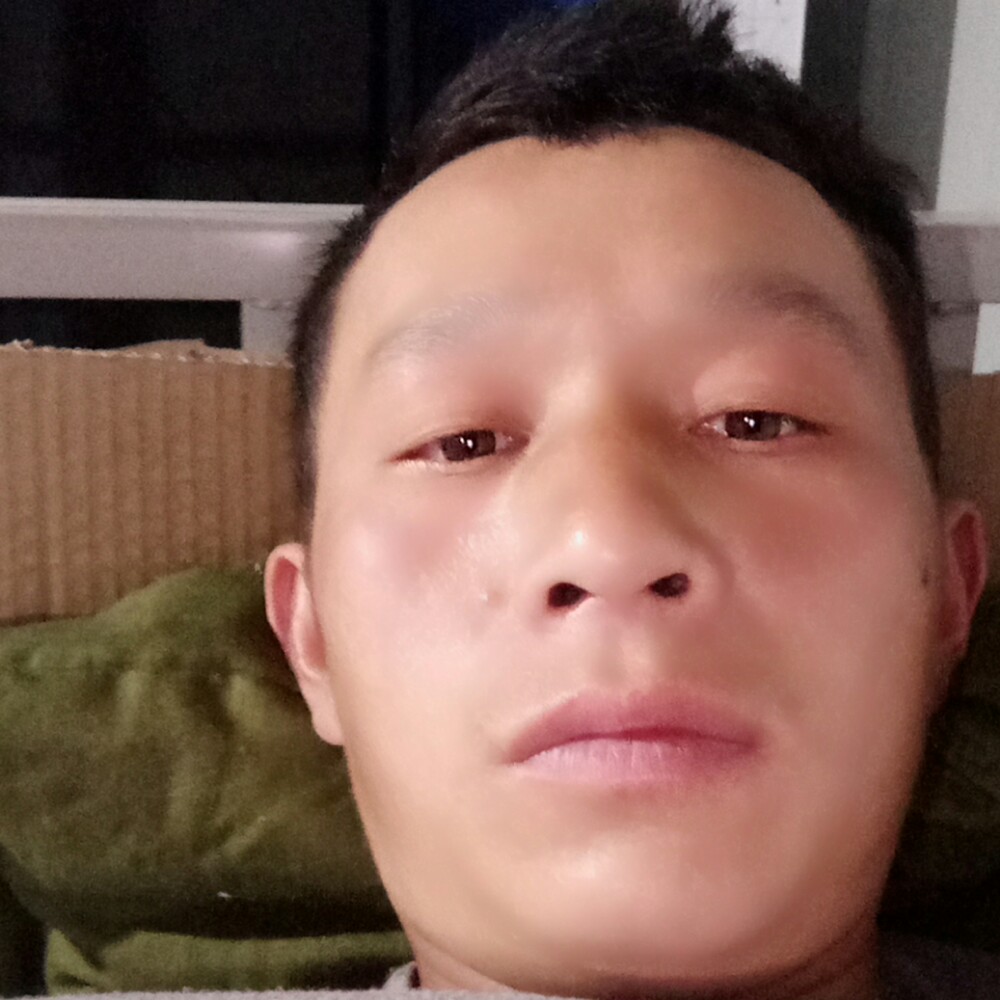 海燕邂逅风中的照片