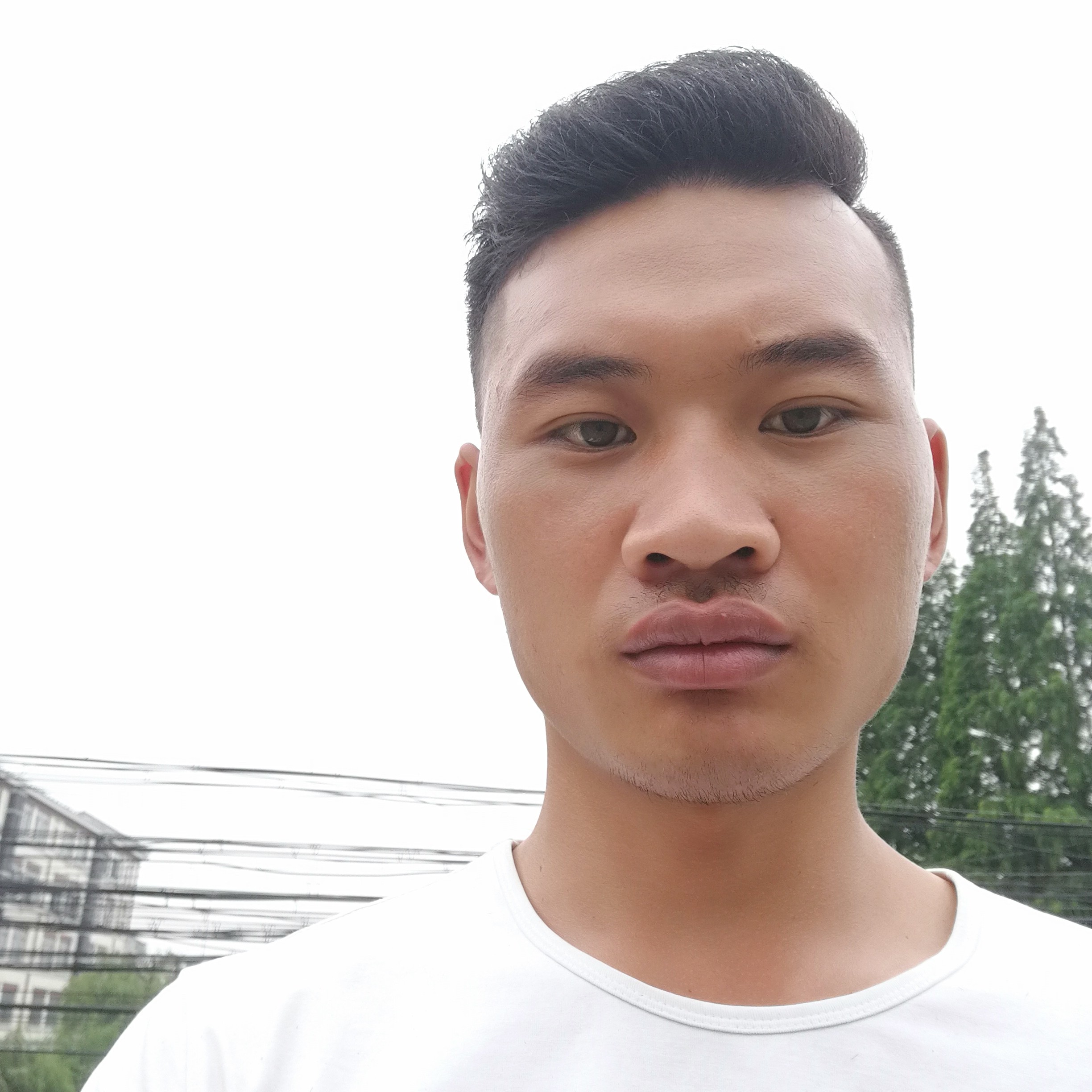 寻思宝的照片