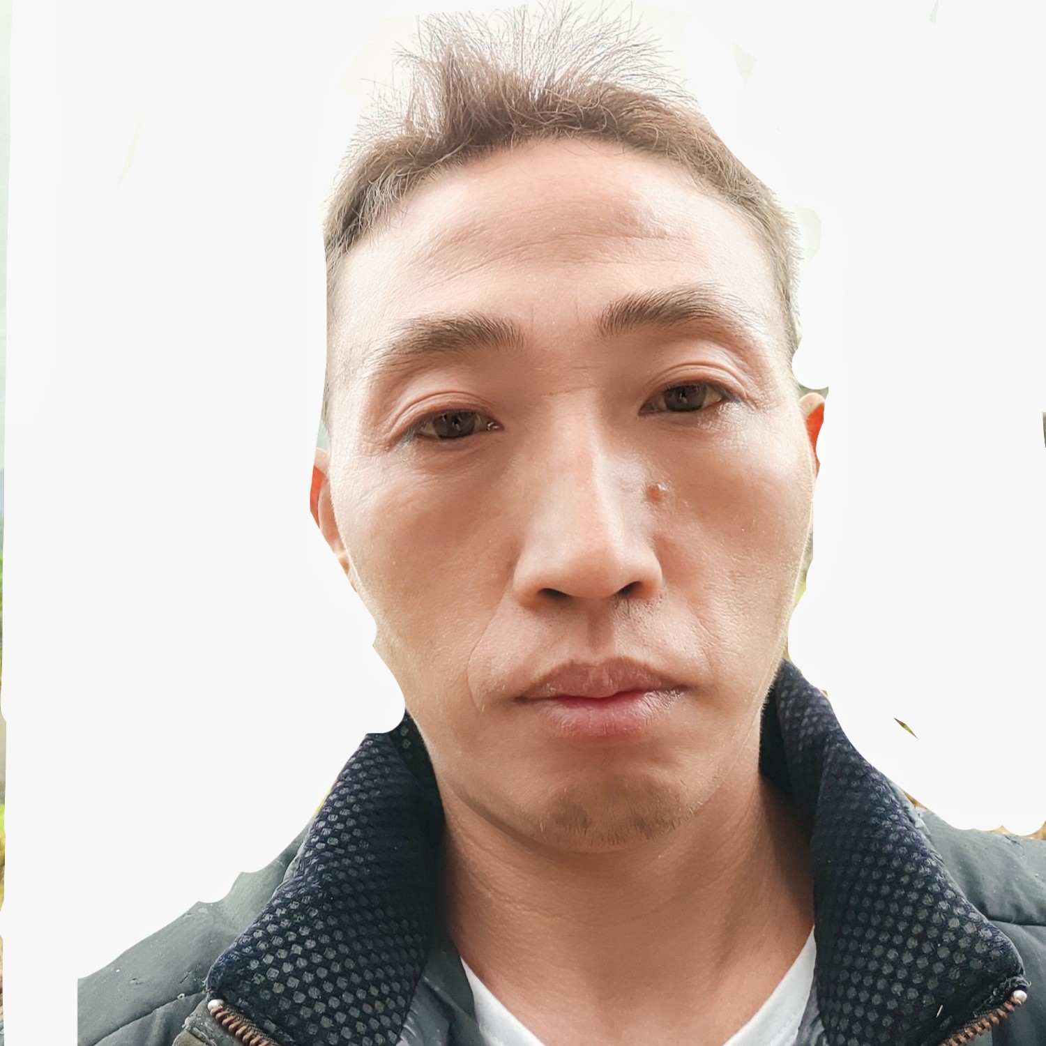 执着倾心冷月的照片