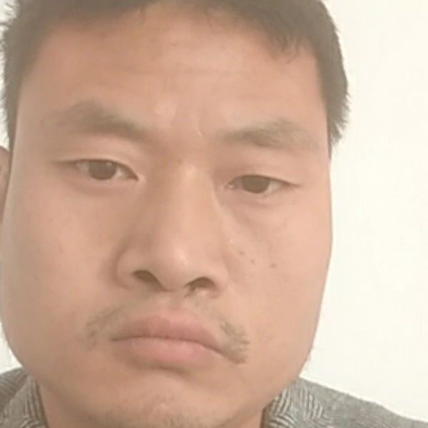 和谐拾忆薯片的照片