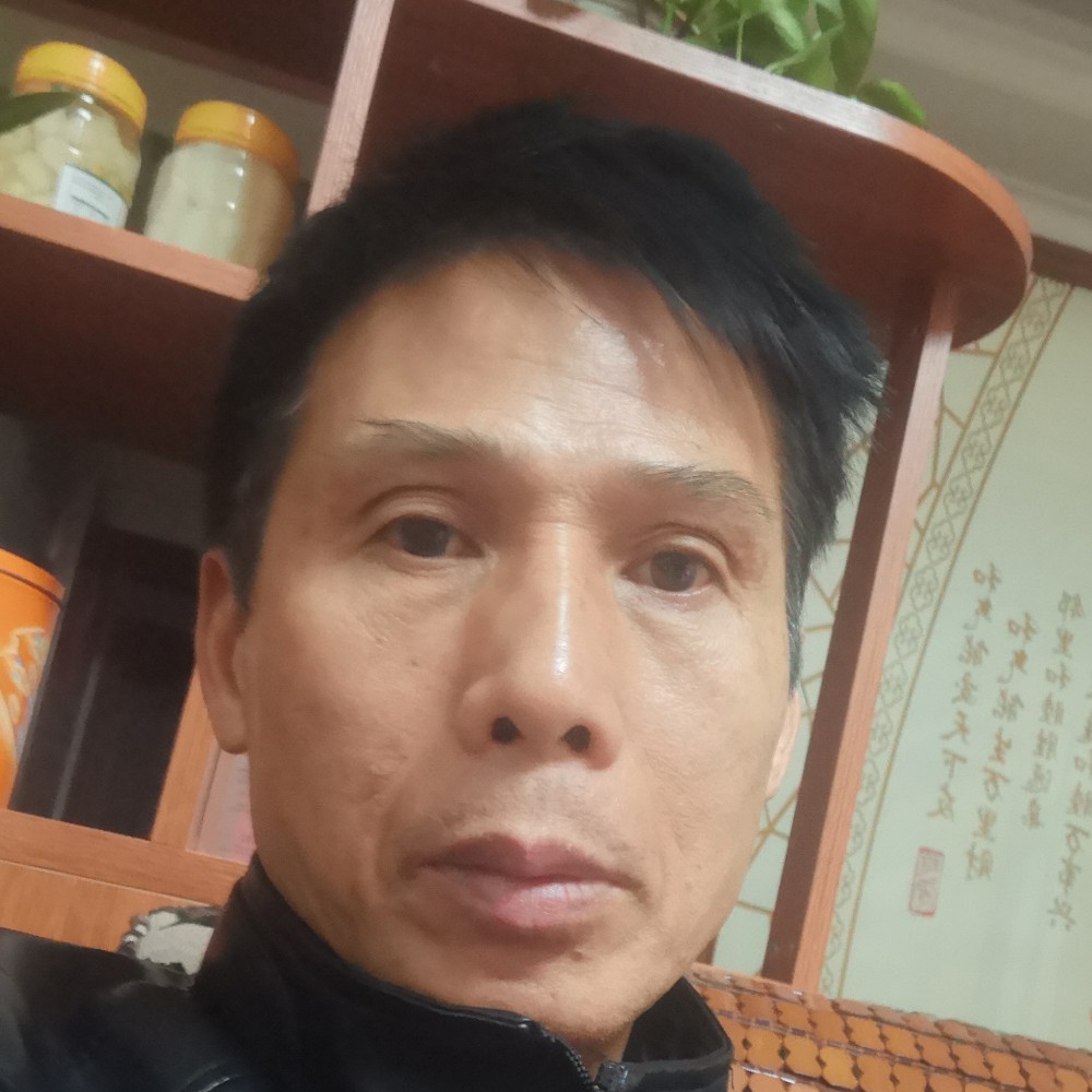 寻找失去的小鸟的照片