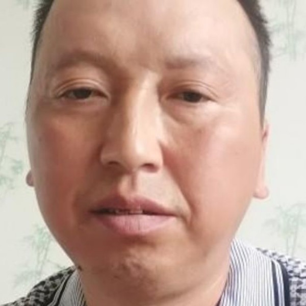 恋云西北狼的照片
