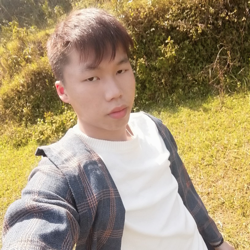 蚂蚁打勤奋的照片