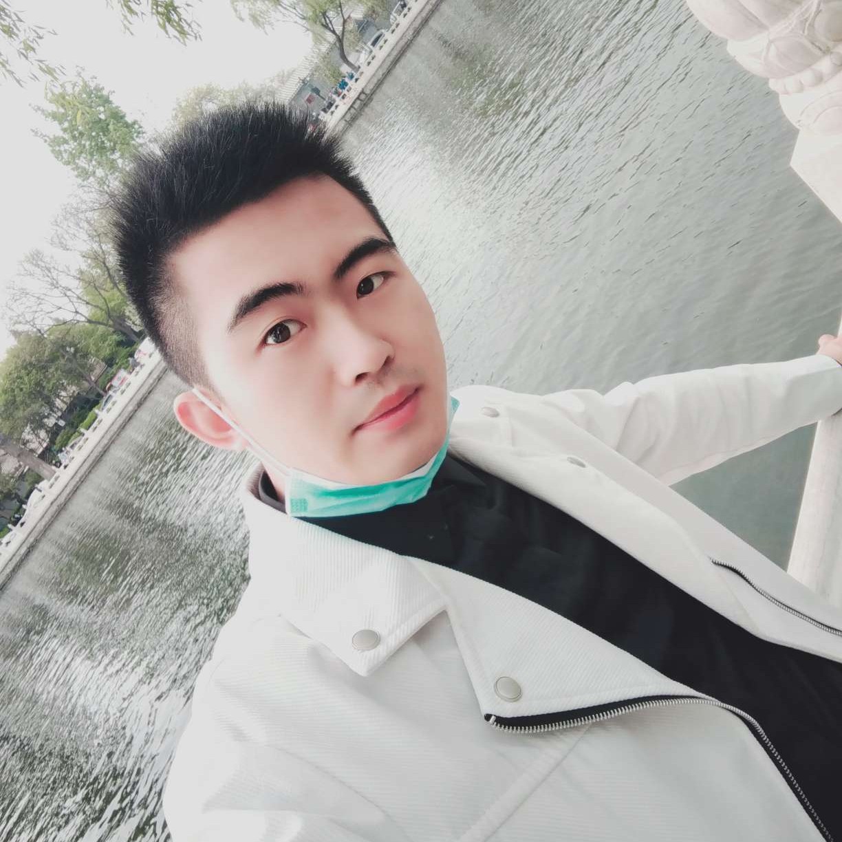长颈鹿迎缓慢的照片