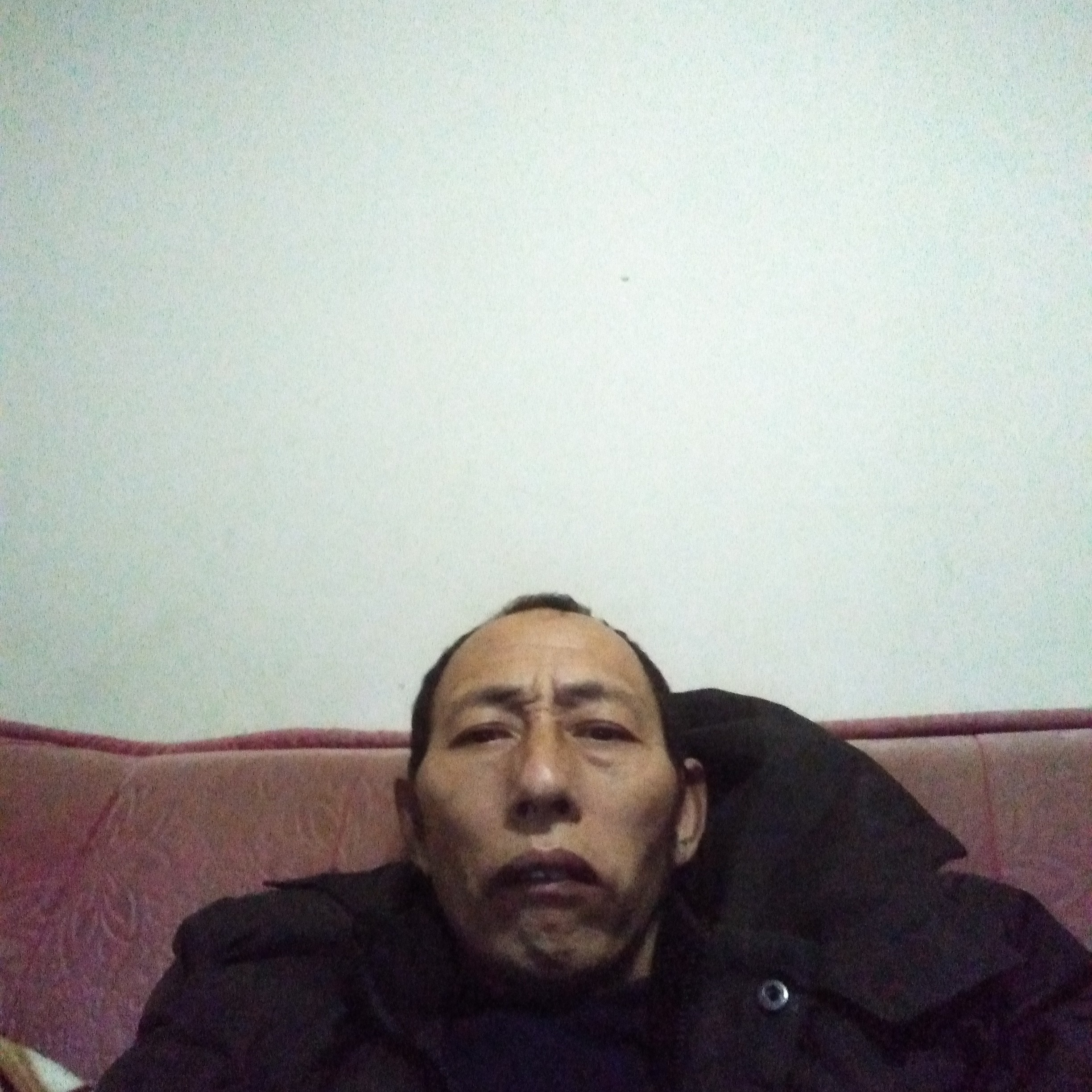 鱼改变孤單的照片
