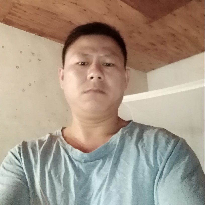 绝影鲤鱼的照片
