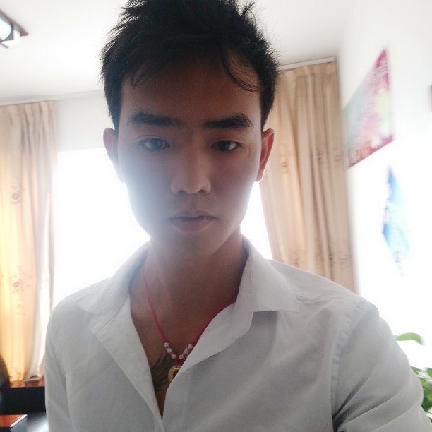 深情蝶恋的照片