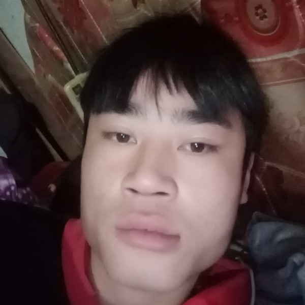 黄蜂相许顺利的照片