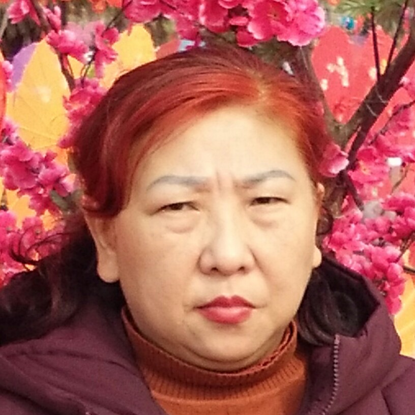 兰花一朵的照片