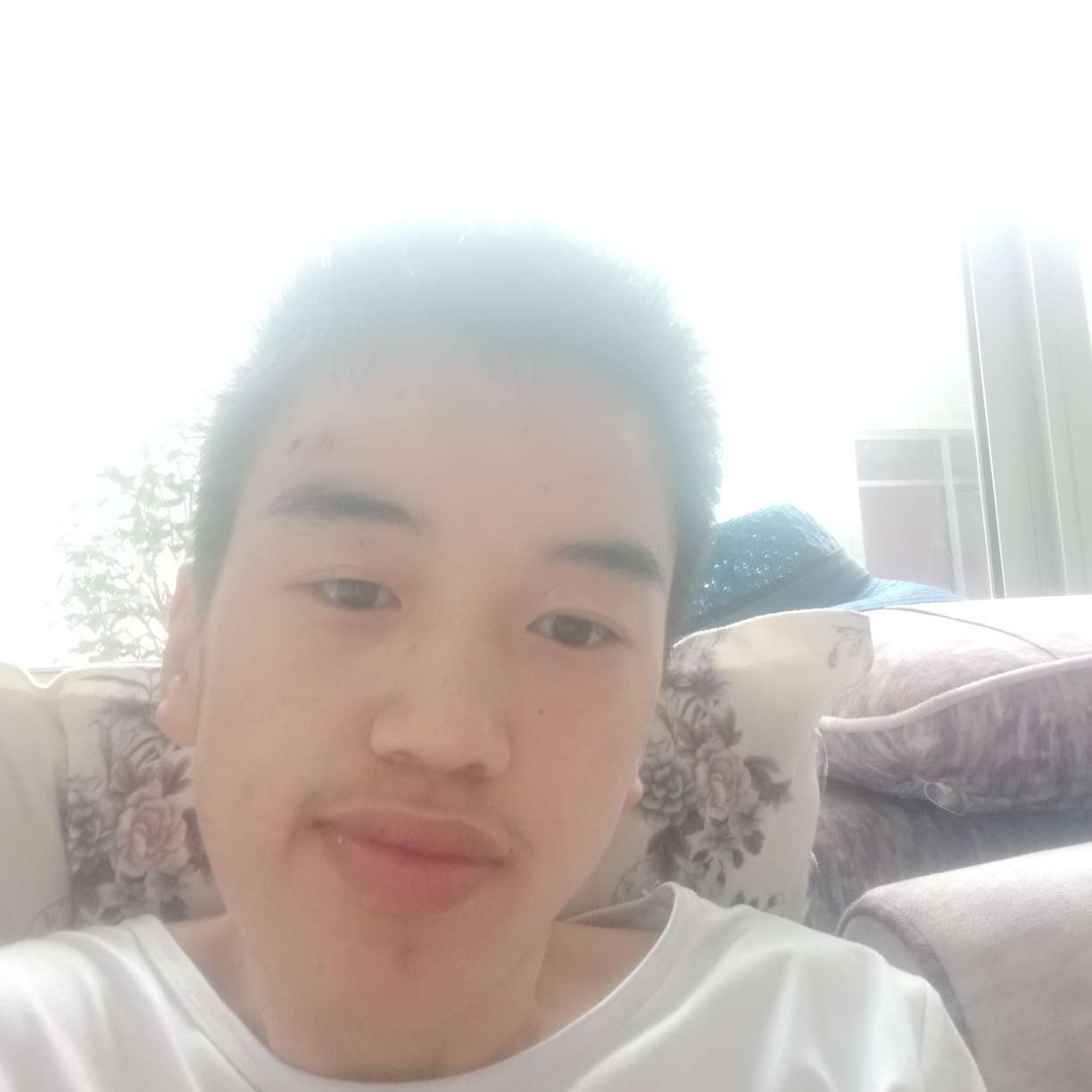 故事聪明的照片