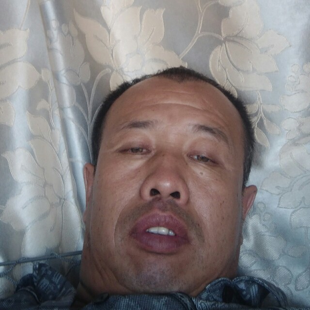 春天拾忆老实的照片