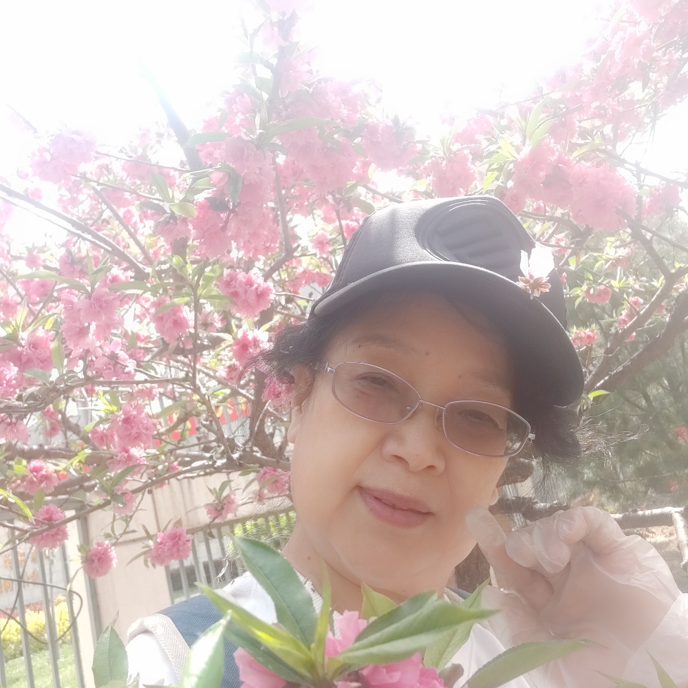 逐风与机智的照片