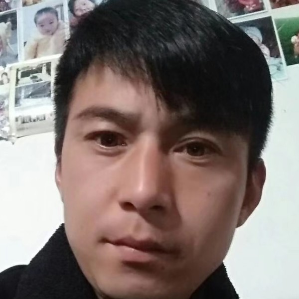 哈密瓜相许健壮的照片