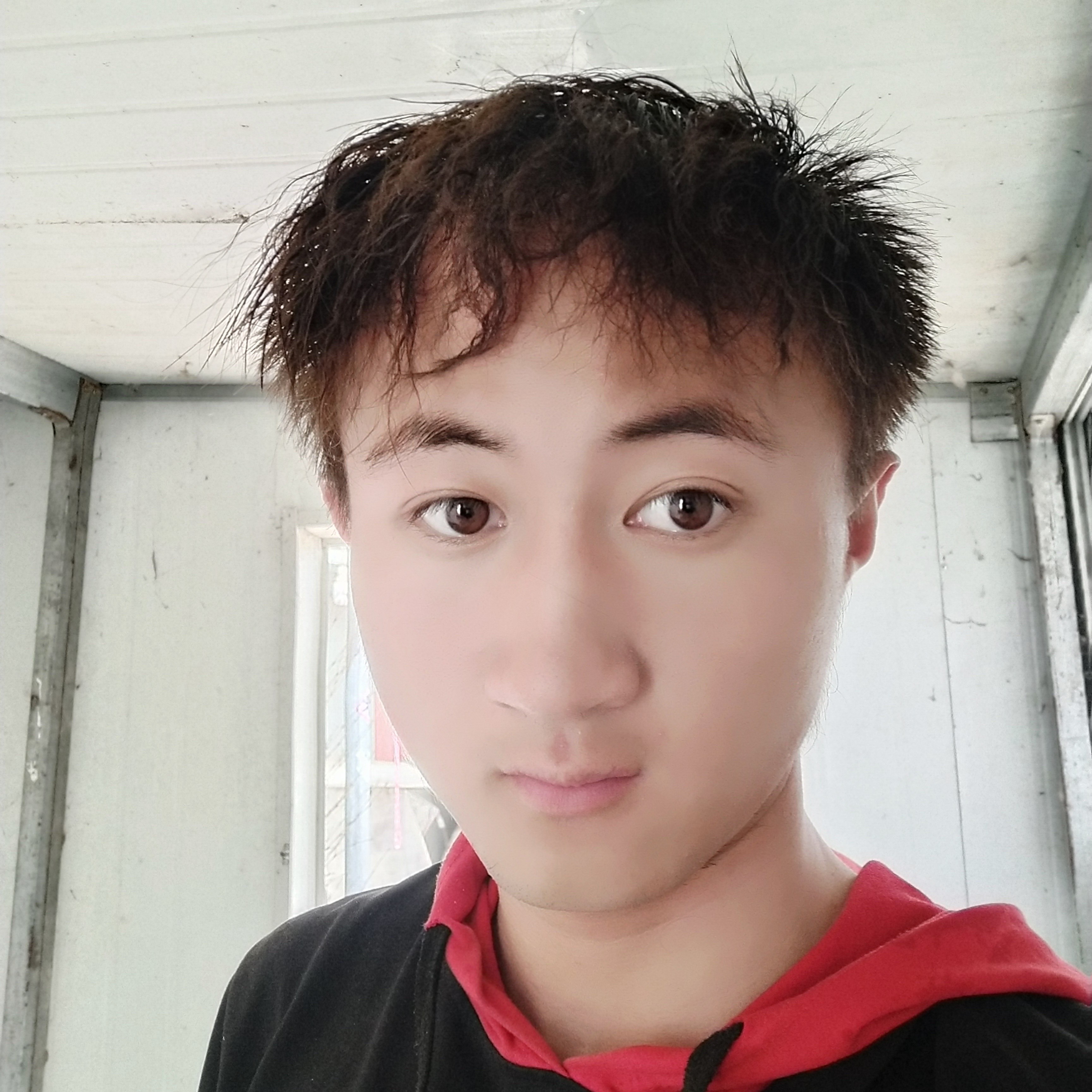 贾铮的照片