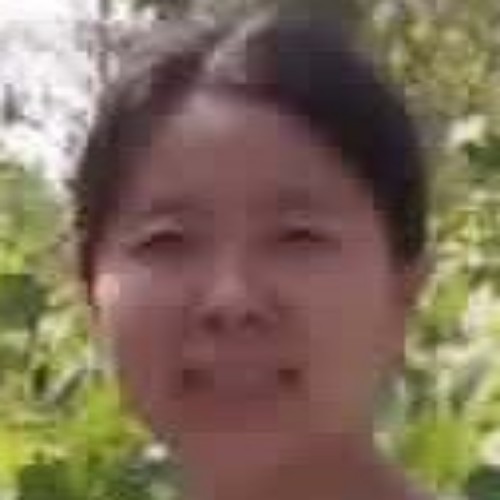 大海宁的照片