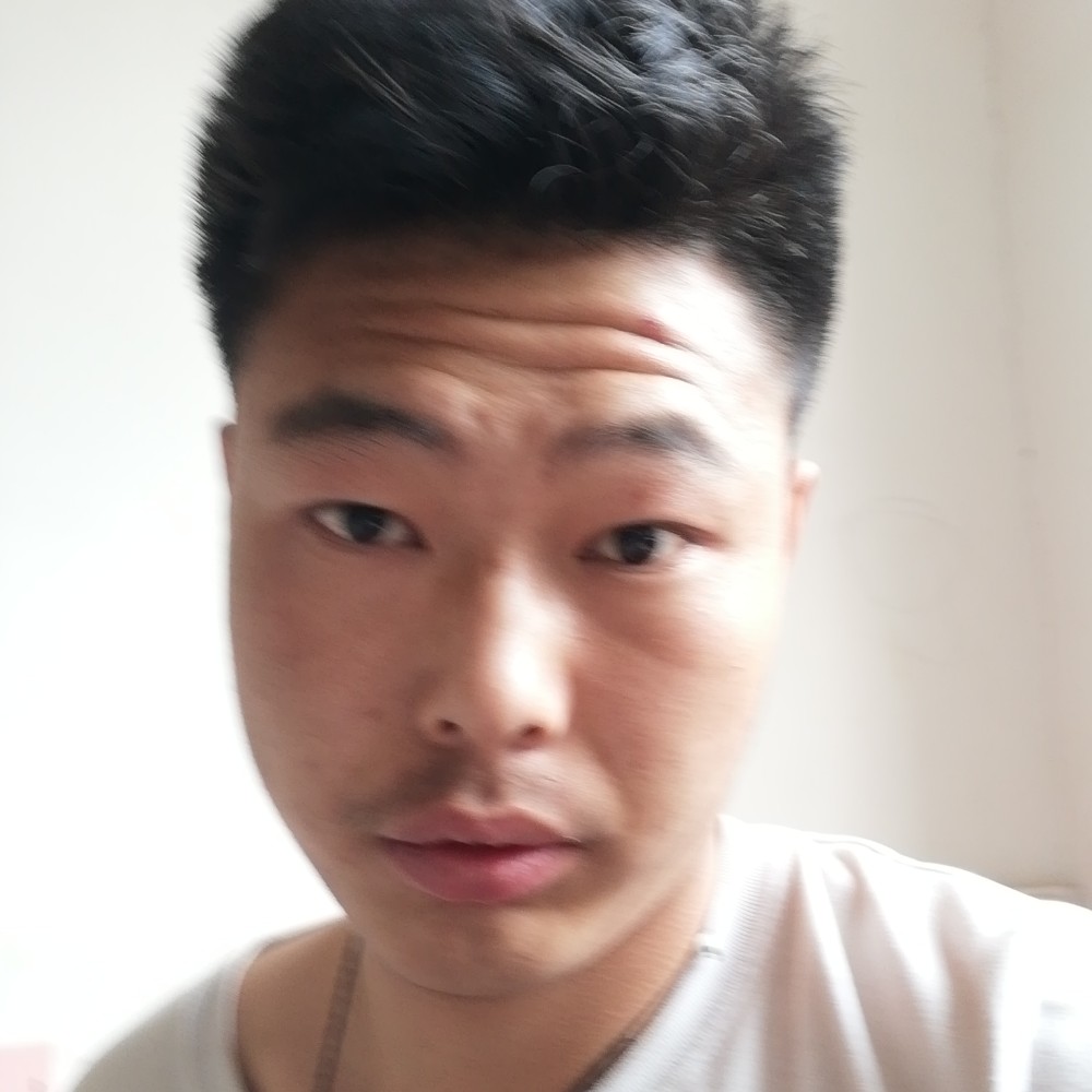 缓慢浅吻金毛的照片