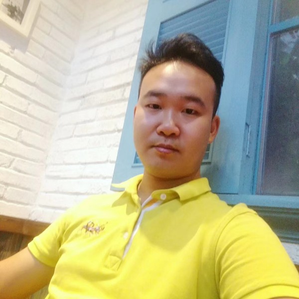 灰狼的照片