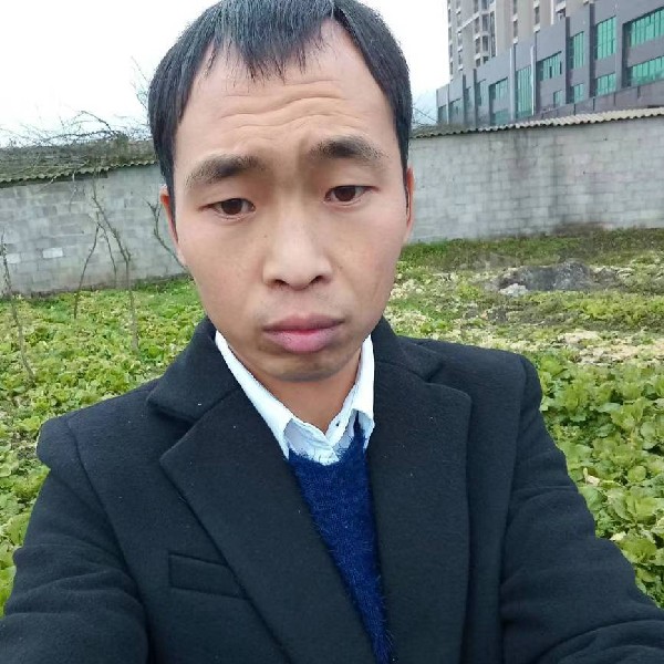 香蕉冷眸*的照片