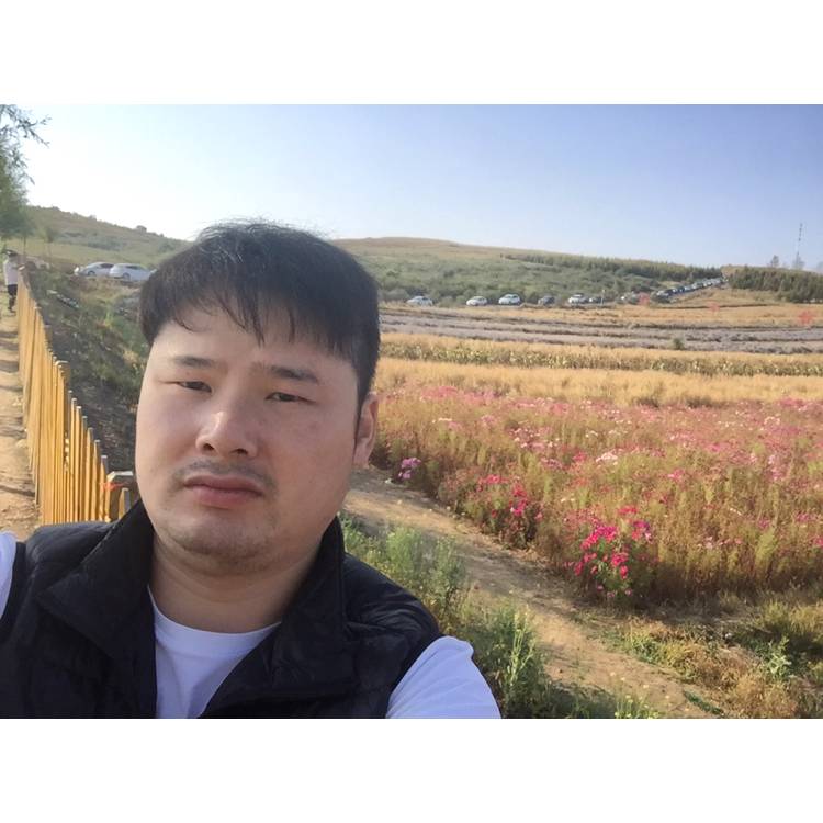 惊鸿改变孤独的照片