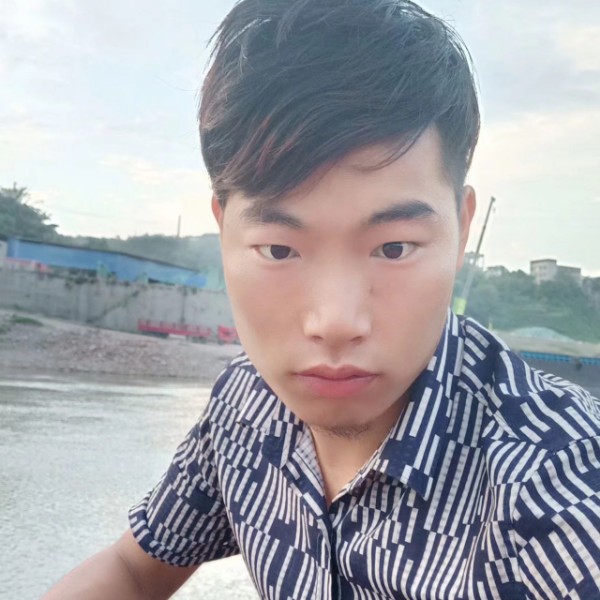 潇洒泪了小蜜蜂的照片