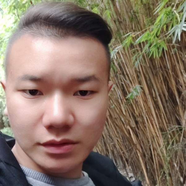 恬静路灯的照片