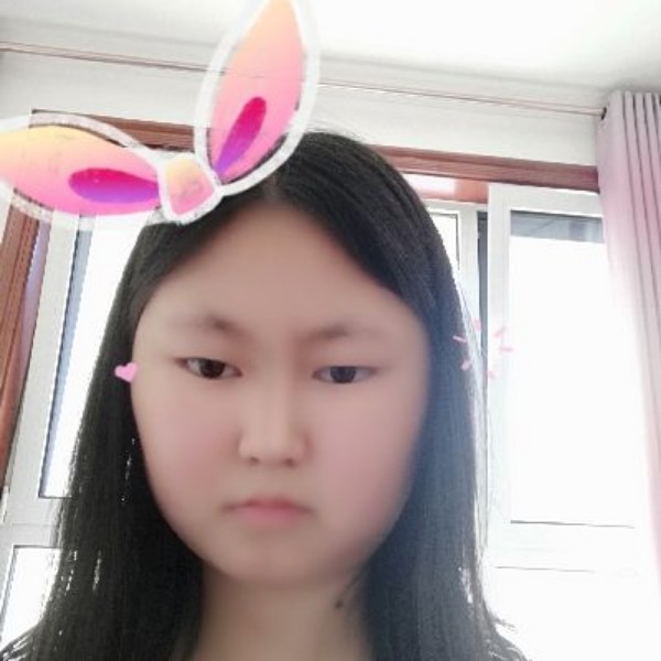 俏皮红玫瑰的照片