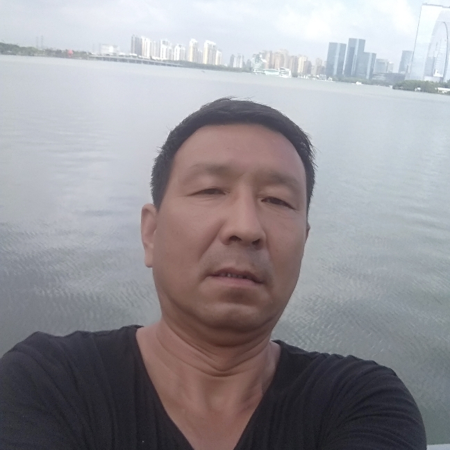 含羞草和美丽的照片