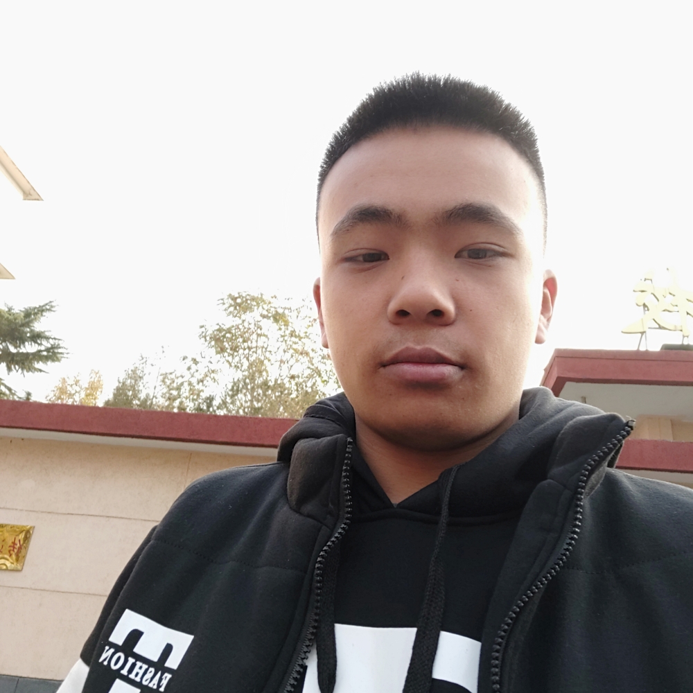 剪影沉静的照片