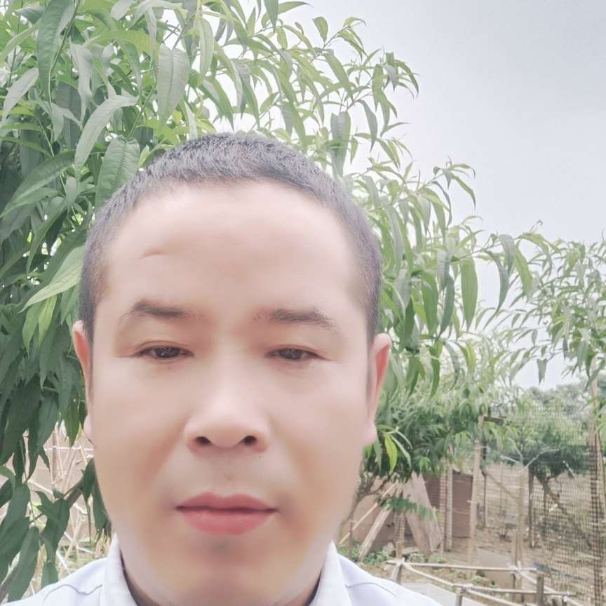 让我为你导航的照片