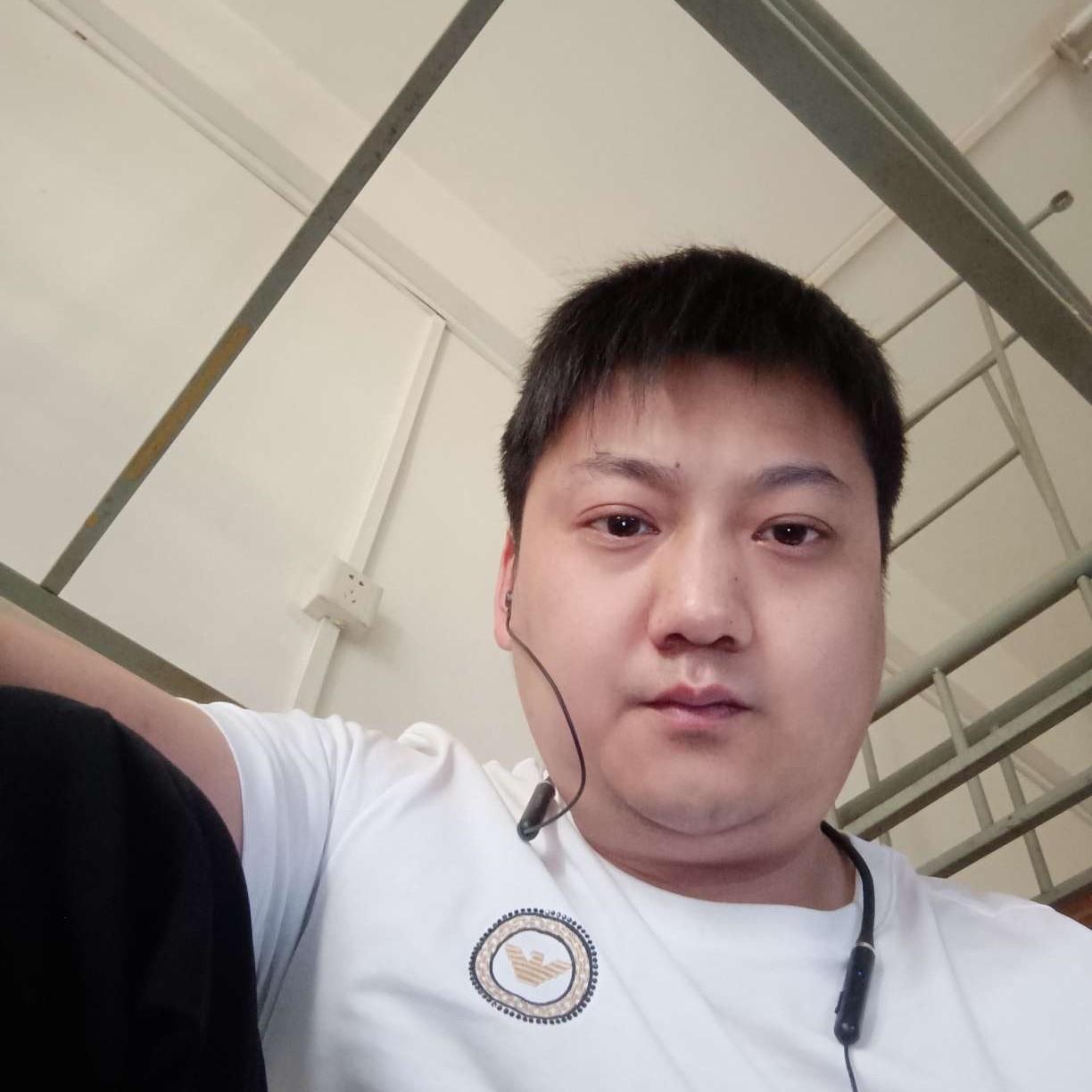 斑驳笑板栗的照片