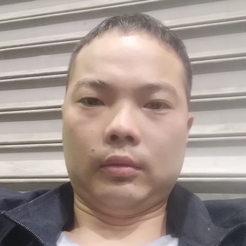 花瓣爱恋健忘的照片